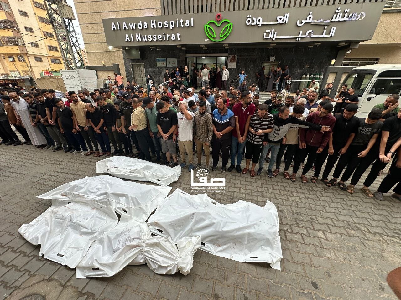حمله در پوستینِ دوست! حمله در پوستینِ دوست!