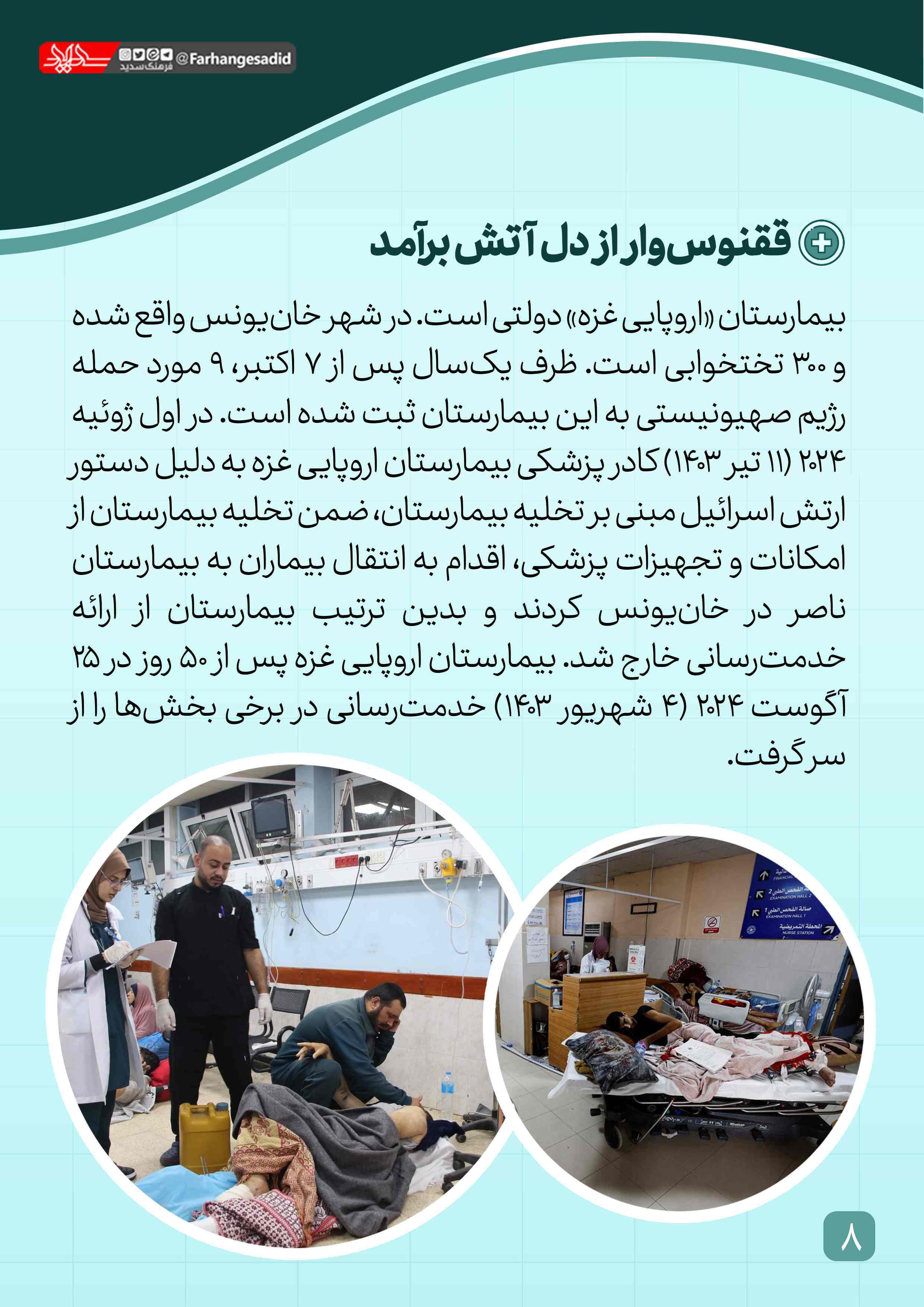 ققنوس‌وار از دل آتش برآمدن و حیات بخشیدن