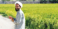 حاکم قلب&zwnj;ها می&zwnj;شویم اگر در اتاق شیشه&zwnj;ای بنشینیم