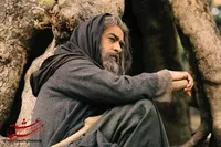 موج چهارم حاشیه برای شمس و مولانا