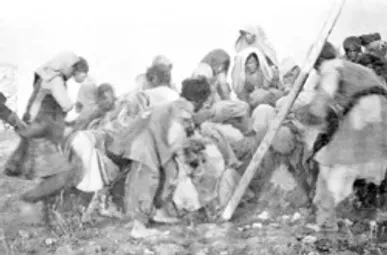 دوران سکوت تاریخ