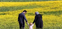 در آستانه ورود به مرحله تله باروری هستیم