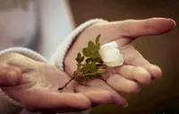 &laquo;محبت&raquo; چسبی قوی برای روابط ما