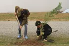 زیستن در سایه درخت