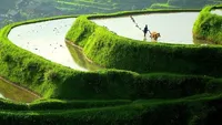 کشاورزی سازگار با محیط