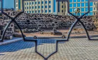 موضع امام باقر(ع) و امام صادق(ع) در برابر بازگشت جاهلیت در صدراسلام
