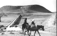 زنی که آرزوی تمدن و آگاهی داشت