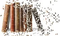 پدیده انقلاب دیجیتال از مفهوم تا کارکرد