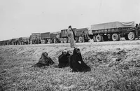 ایران با قاجار و پهلوی ایرانستان می&zwnj;شد