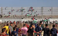 نمی&zwnj;توانم در مقابل فلسطین بی&zwnj;تفاوت باشم!