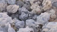 سپر چهل&zwnj;تکه!