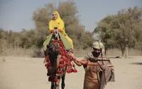دور ایران بگردیم