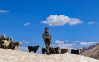 ما در ایران اقوام غیربومی نداریم