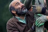 سیمای رنج بر پرده سینما