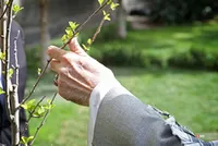 ۴۰ سالگی، به عنوان نمادی از بالندگی