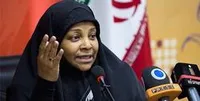 مجری و خبرنگار &laquo;پرس&zwnj;تی&zwnj;وی&raquo; در آمریکا بازداشت شد